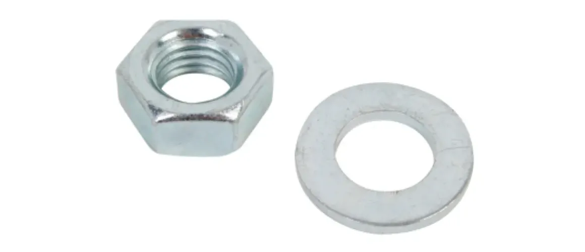 Alberts Moer + Sluitring Rvs M10 2St.