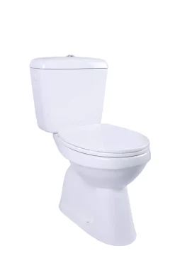 Aquavive Duoblok Toilet Ippari I Ao Aansluiting I Soft-Close Toiletzitting Wit