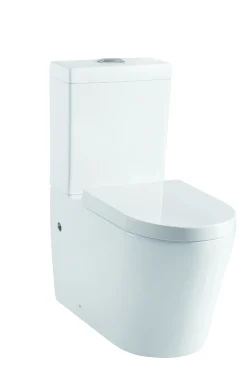 Aquazuro Duoblok Toilet Savio 2 I Universele Aansluiting I Quick Release & Soft-Close Toiletzitting Wit