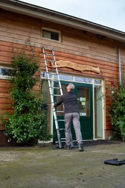 Batavia Professionele Telescoopladder 3.81M