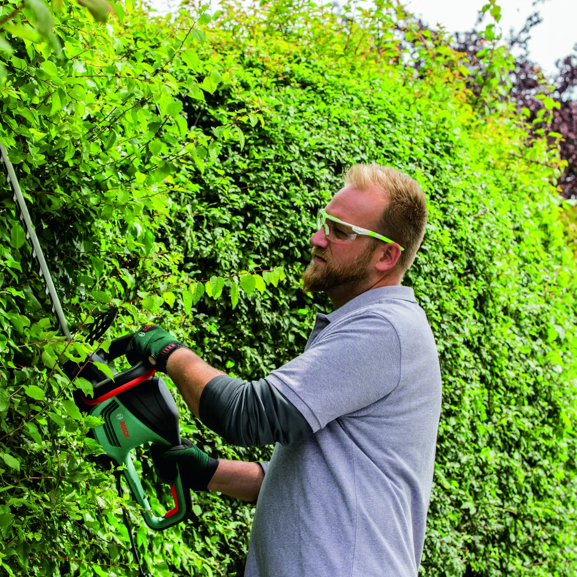 Bosch Heggenschaar Advancedhedgecut 65 (Mesafdekking)