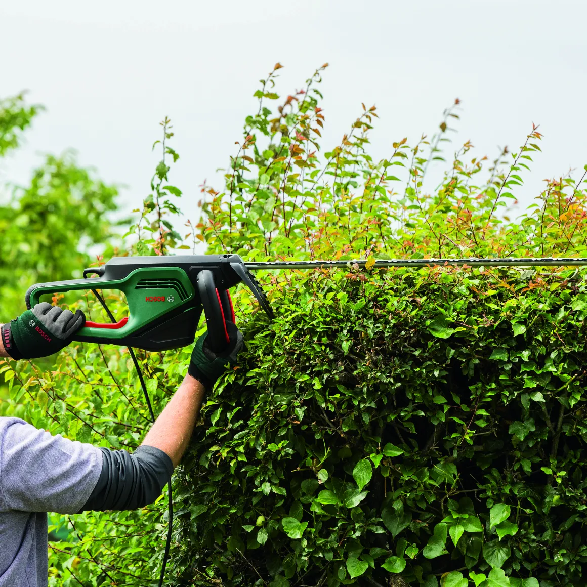 Bosch Heggenschaar Advancedhedgecut 65 (Mesafdekking)