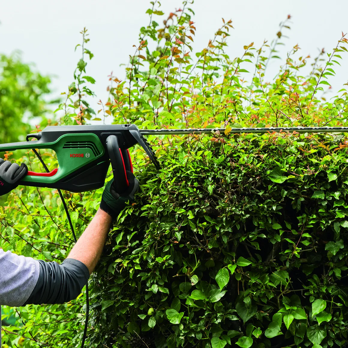 Bosch Heggenschaar Advancedhedgecut 65 (Mesafdekking)