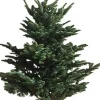 Central Park Kerstboom Nobilis 125-150Cm