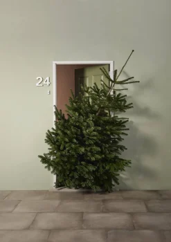 Central Park Kerstboom Nordmann 80-100Cm