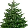 Central Park Kerstboom Nordmann 175-200Cm