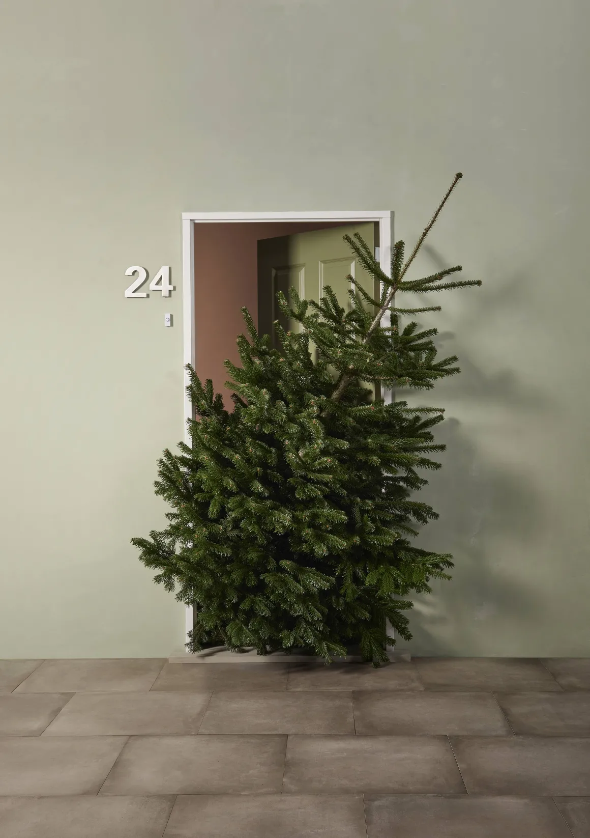 Central Park Kerstboom Nordmann 175-200Cm