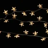Central Park Kerstverlichting Ster Acryl 100 Lampjes 13M