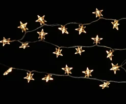 Central Park Kerstverlichting Ster Acryl 100 Lampjes 13M