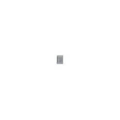 Cobo Garden Klinker Waal In-Line Grijs-Zwart Getrommeld 20X5X6Cm
