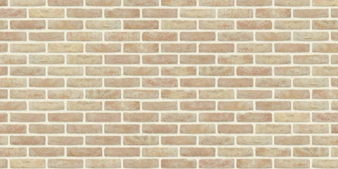Coeck Gevelsteen Anderlecht Mod50 190X90X50Mm