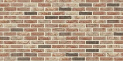 Coeck Gevelsteen Neo Barok Mod50 190X90X50Mm 14,5M² 1200 Stuks + Palet 3004837