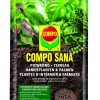 Compo Sana Potgrond Voor Kamerplanten En Palmen 10L