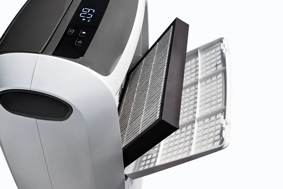De'Longhi Luchtontvochtiger Tasciugo Ariadry Multi Ddsx220 Wit