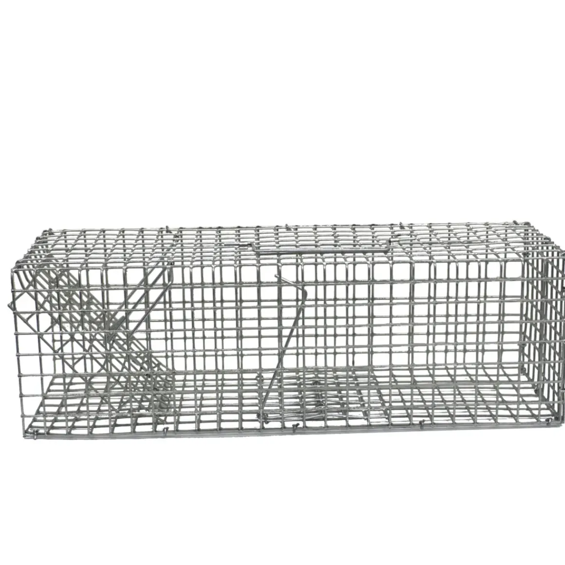 Edialux Ratten- En Muizenvangkooi 1 Ingang