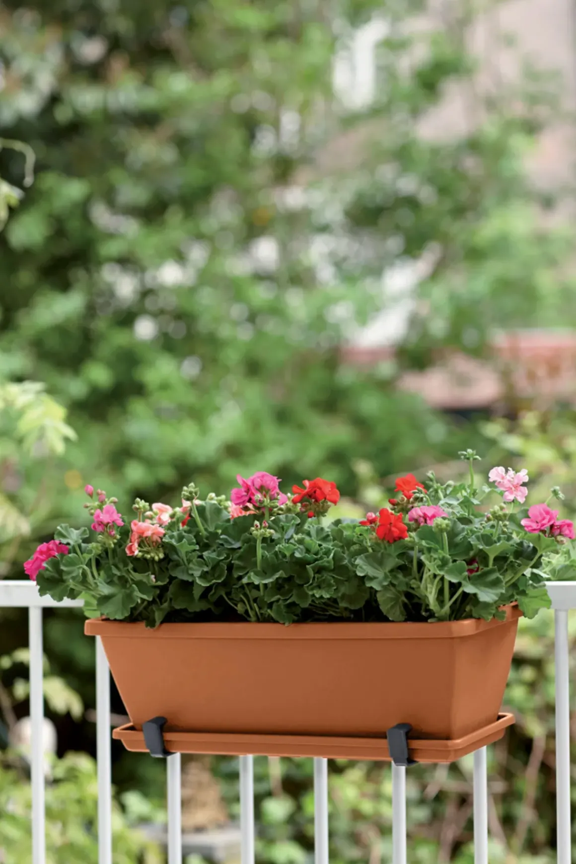 Elho Balkonbak Barcelona 70Cm Terra