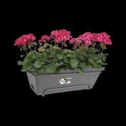 Elho Barcelona All-In-1 O50Cm Antraciet