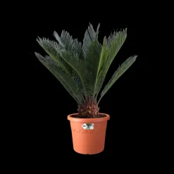 Elho Bloempot Algarve Cilindro Rond O35Cm Terra