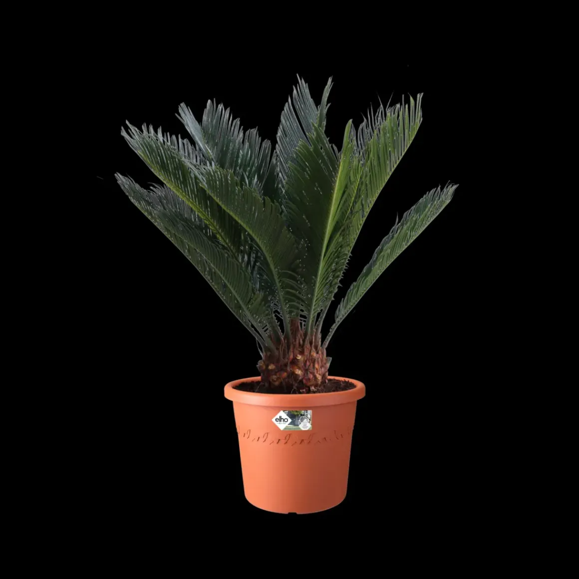 Elho Bloempot Algarve Cilindro Rond O35Cm Terra
