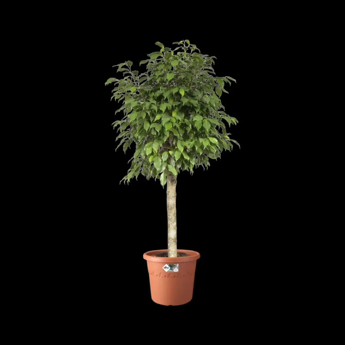 Elho Bloempot Algarve Cilindro Rond O35Cm Terra