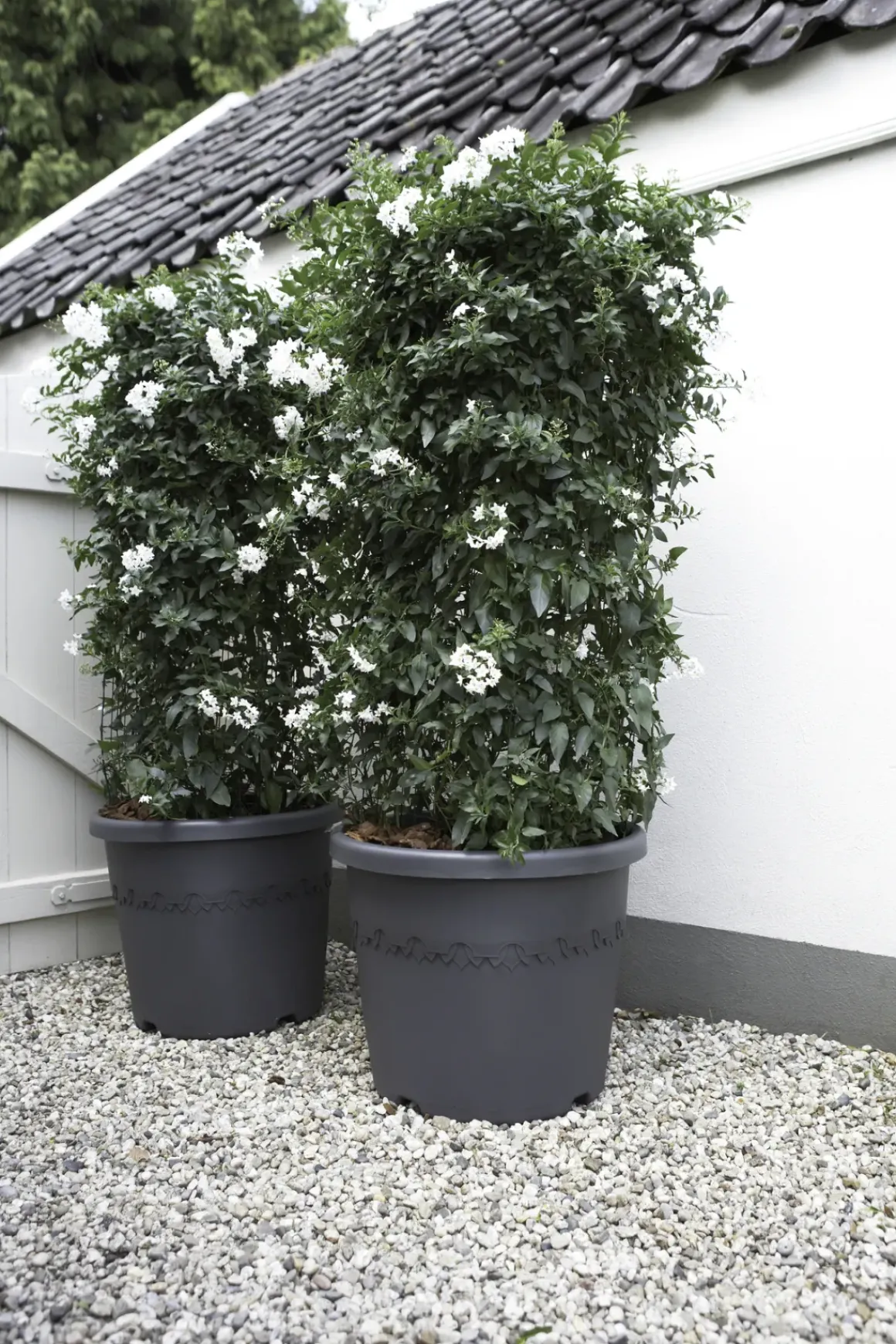 Elho Bloempot Algarve Cilindro Rond O30Cm Antraciet