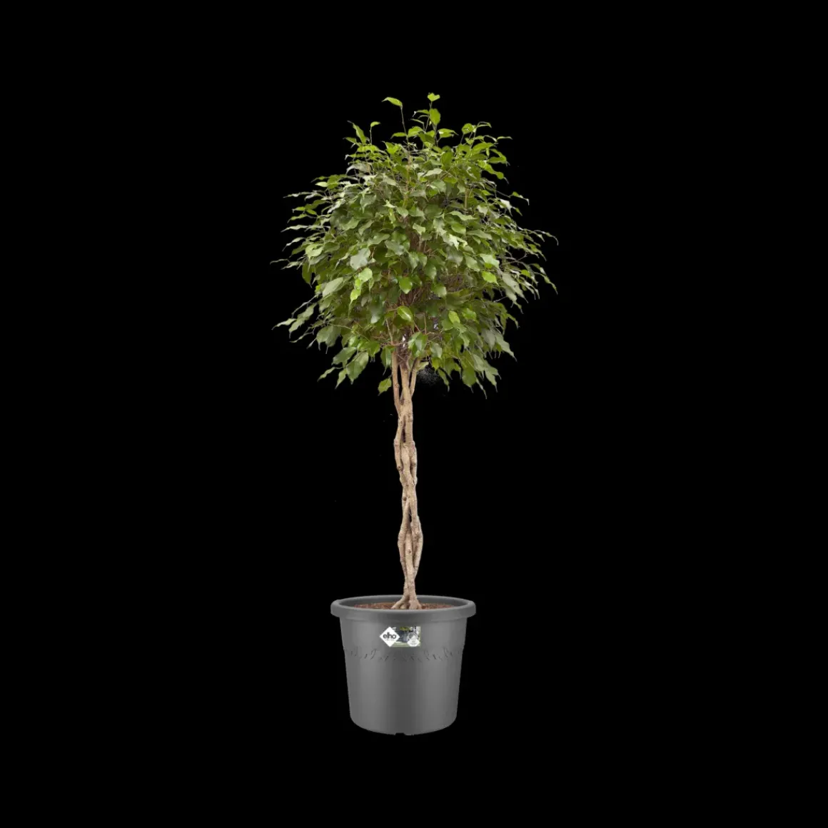 Elho Bloempot Algarve Cilindro Rond O30Cm Antraciet