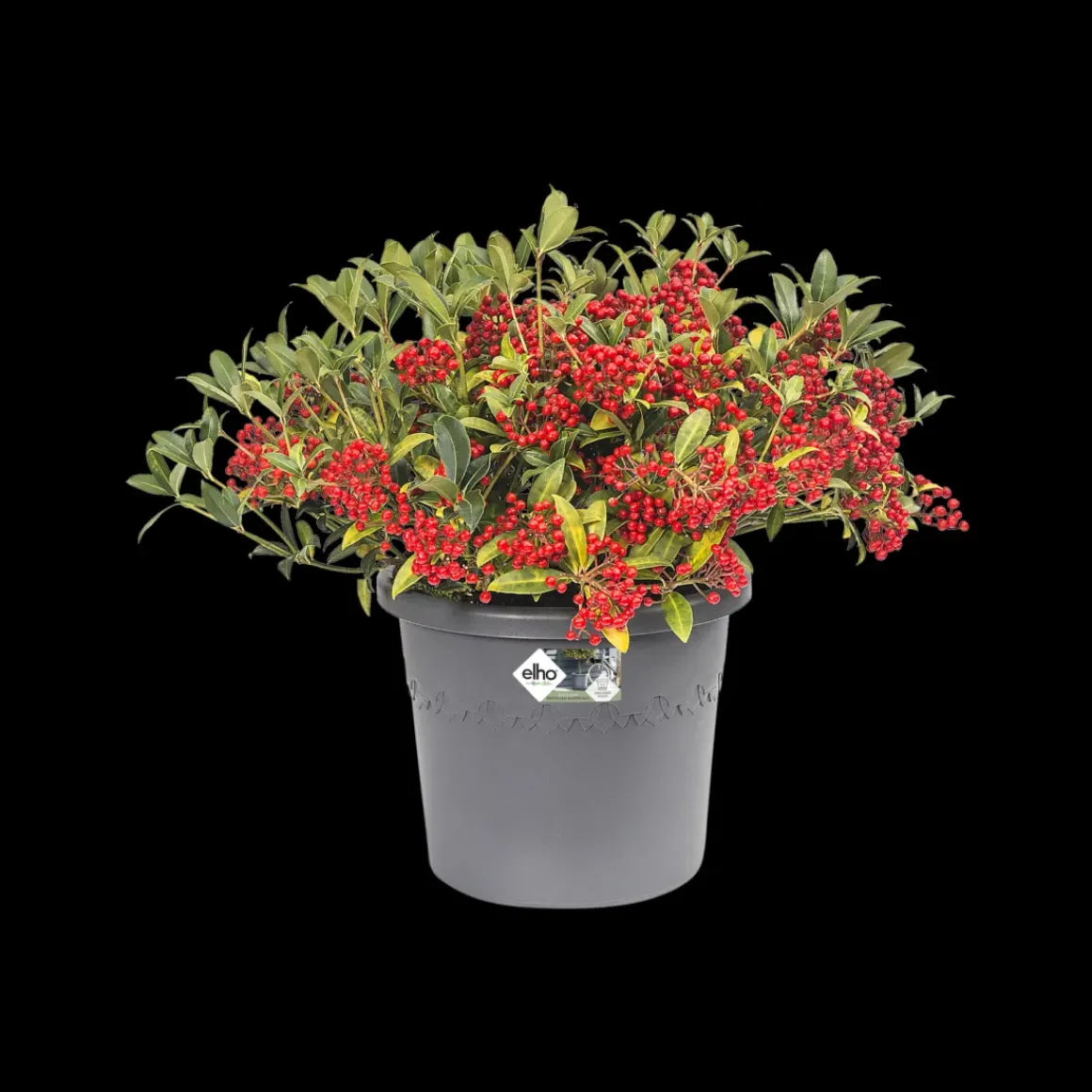 Elho Bloempot Algarve Cilindro Rond O30Cm Antraciet