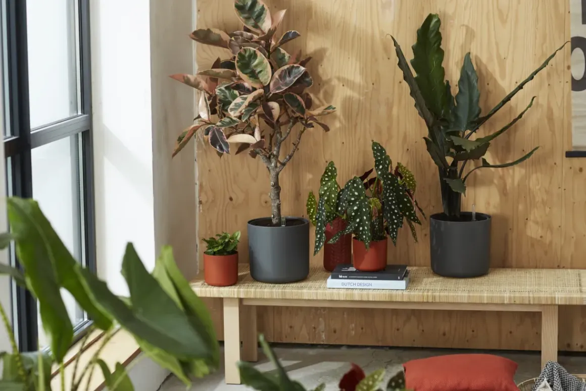 Elho Bloempot B. For Soft Rond O14Cm Antraciet