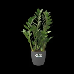 Elho Bloempot Brussels Rond Wielen O40Cm Antraciet