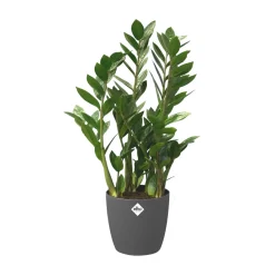 Elho Bloempot Brussels Rond Wielen O40Cm Antraciet