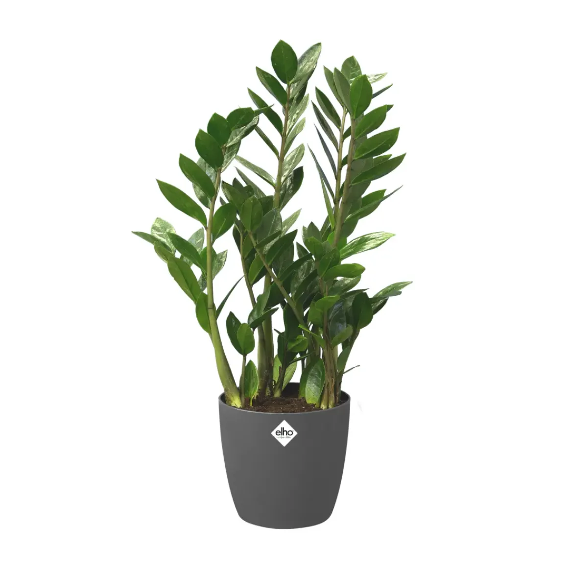 Elho Bloempot Brussels Rond Wielen O35Cm Antraciet