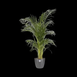 Elho Bloempot Brussels Rond O16Cm Antraciet