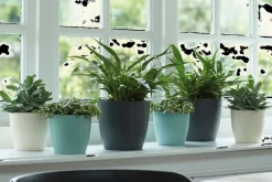 Elho Bloempot Brussels Rond O25Cm Wit