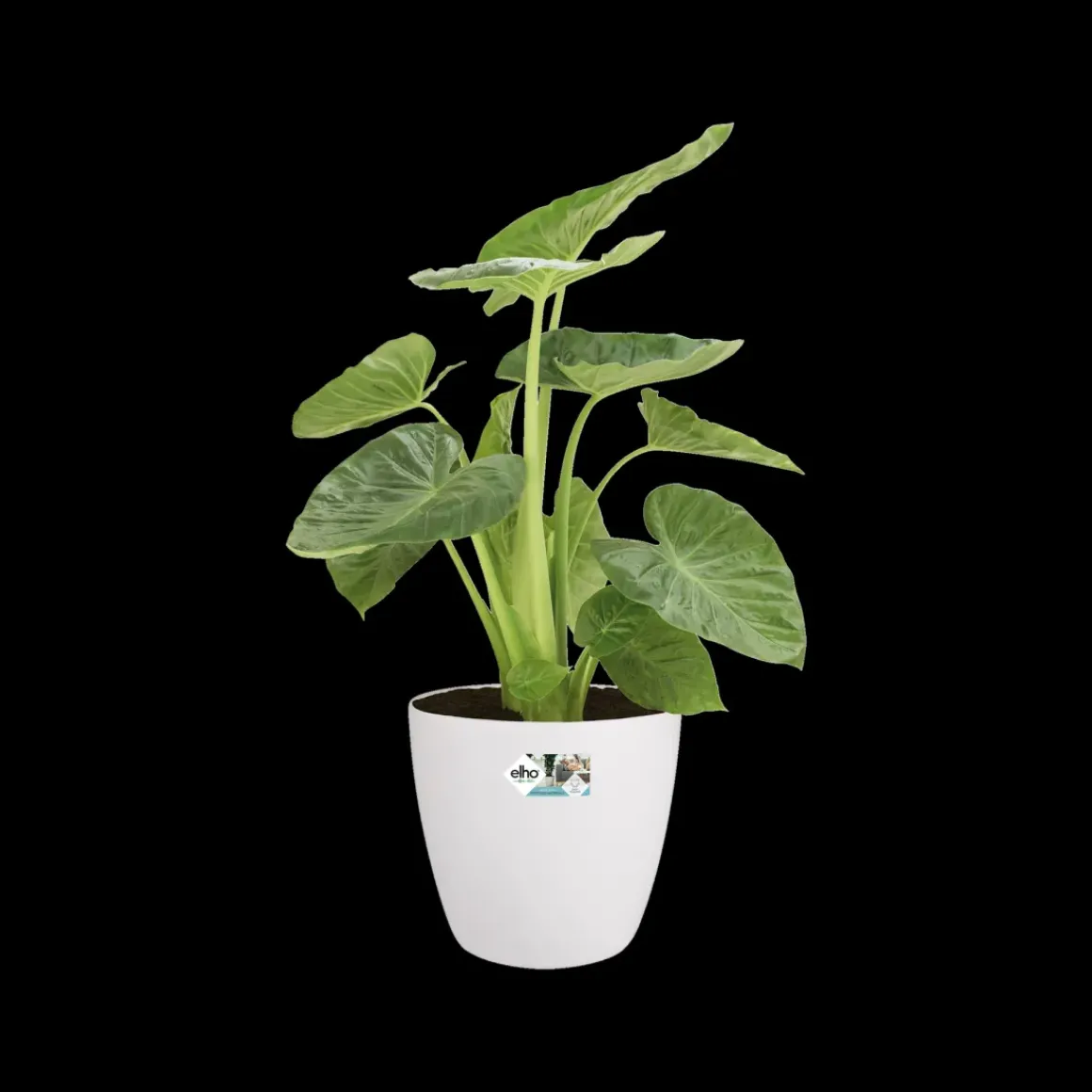 Elho Bloempot Brussels Rond Wielen O35Cm Wit