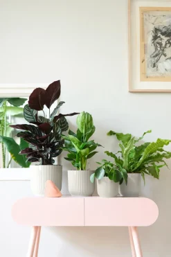 Elho Bloempot Vibes Fold Rond O30Cm Wit