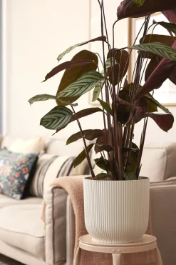 Elho Bloempot Vibes Fold Rond O30Cm Wit
