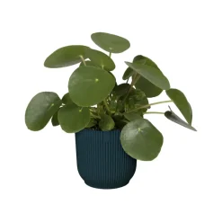 Elho Bloempot Vibes Fold Rond O22Cm Deep Blue