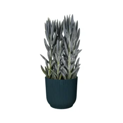 Elho Bloempot Vibes Fold Rond O22Cm Deep Blue
