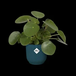 Elho Bloempot Vibes Fold Rond O22Cm Deep Blue