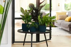 Elho Bloempot Vibes Fold Rond O22Cm Deep Blue