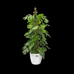 Elho Brussels Rond Wielen O47Cm Wit