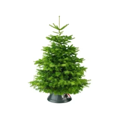 Elho Kerstboomvoet Nordman Groen 39Cm