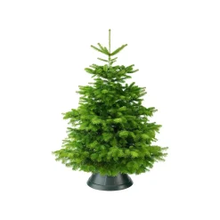Elho Kerstboomvoet Nordman Groen 39Cm