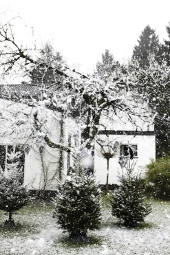 Elho Kerstboomvoet Nordman Groen 39Cm