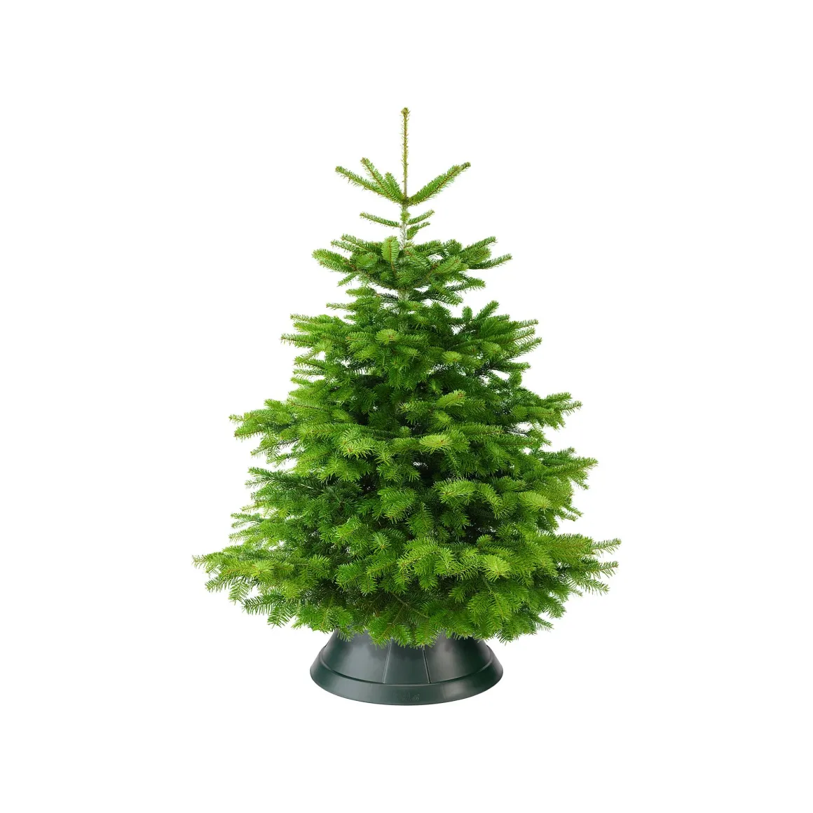 Elho Kerstboomvoet Nordman Groen 52Cm