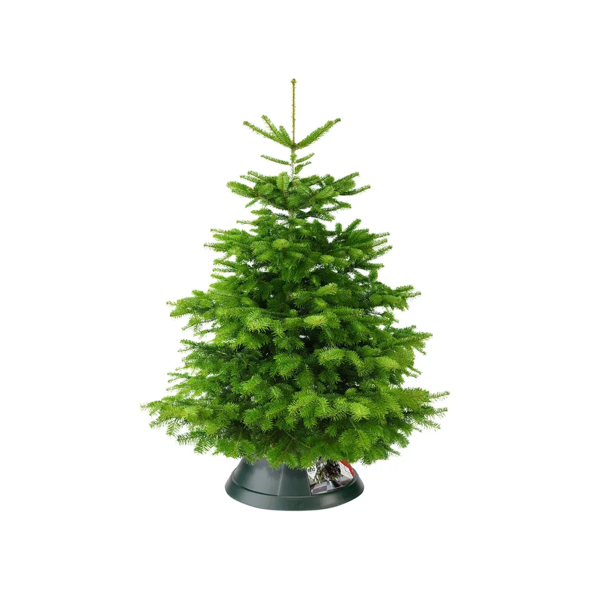 Elho Kerstboomvoet Nordman Groen 52Cm