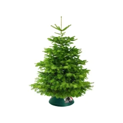 Elho Kerstboomvoet Oslo Kunststof 38Cm