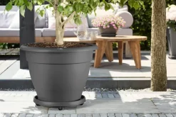 Elho Universele Planttaxi 40Cm Antraciet
