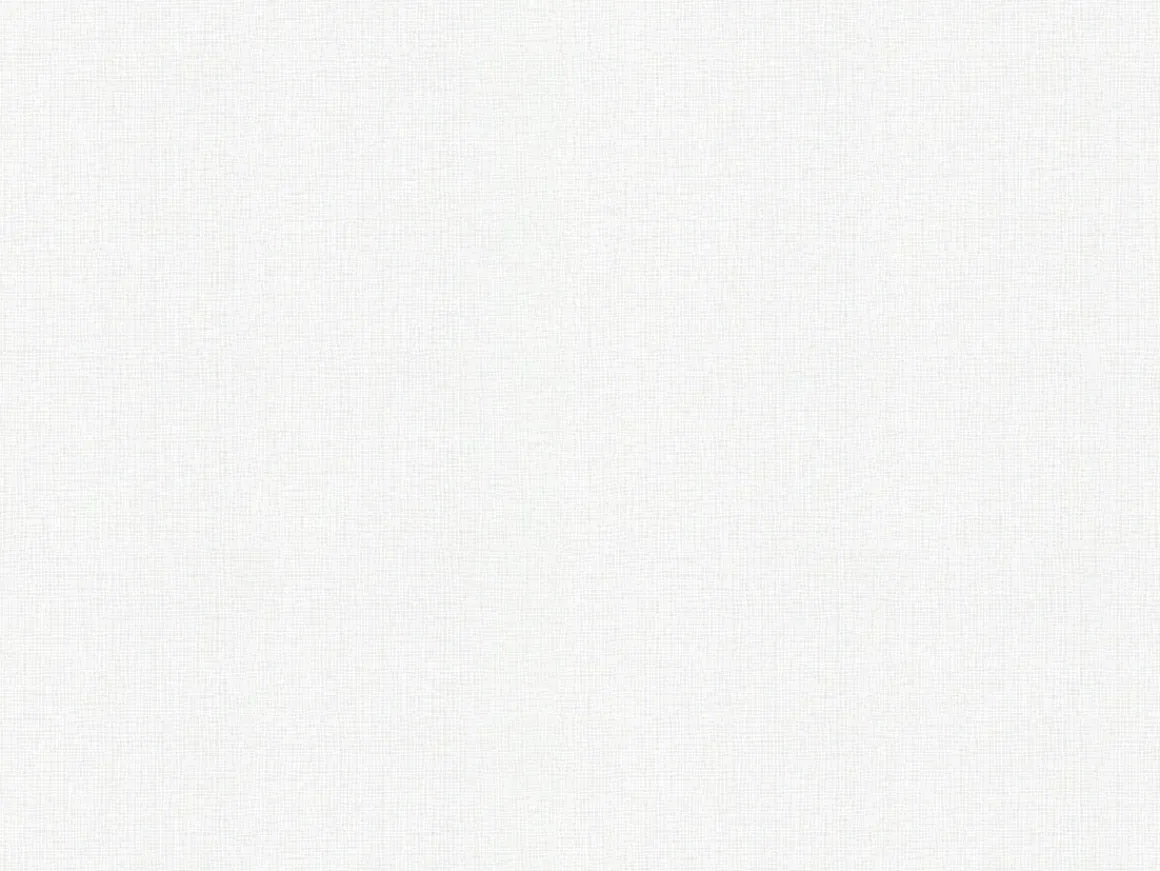 Glasweefselbehang Novelio Nature Flair Snow 185Gr 10M