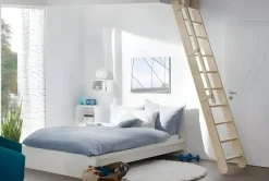 Handystairs Uitschuifbare Steektrap "Montreal" - Hoogte 300Cm - 12 Treden Van Beuken - Met Leuning